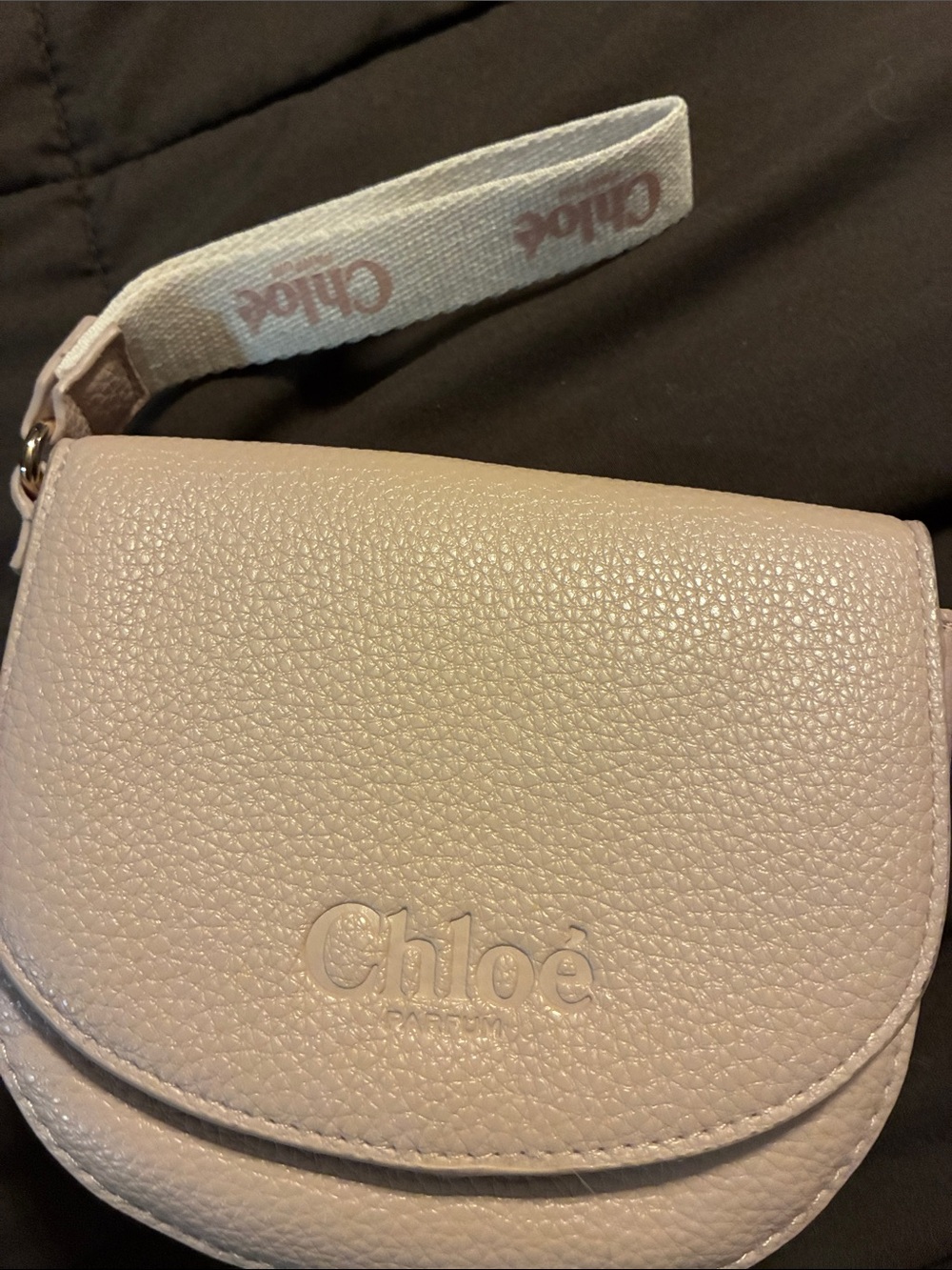 ChloΓ© Mini Crossbody Bag in Pale Pink Pebbled Leather